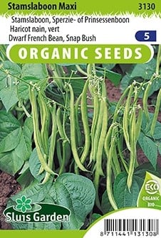 Dwarf French Bean Maxi EKO - Phaseolus Vulgaris