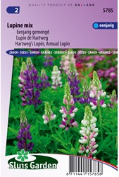 Lupin annual Giantflowered Mix