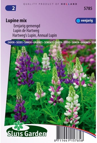 Lupin annual Giantflowered Mix