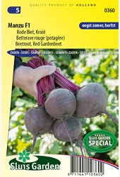 Beetroot, Red Gardenbeet Manzu F1 - Beta vulgaris