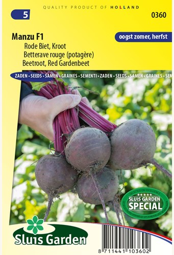 Beetroot, Red Gardenbeet Manzu F1 - Beta vulgaris