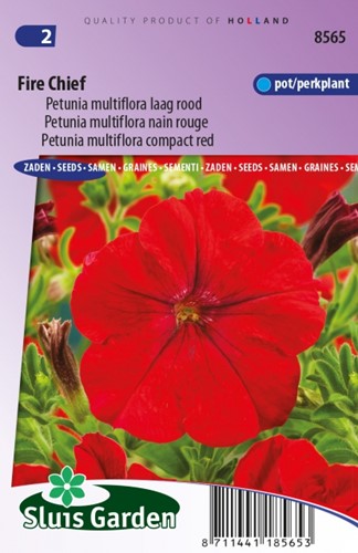 Petunia Multiflora Fire Chief
