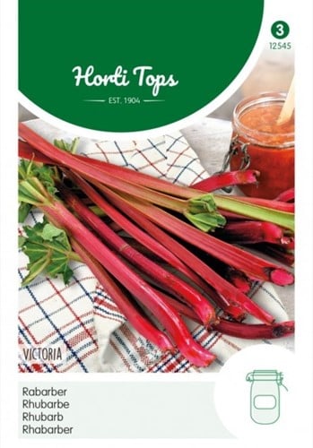 Rhubarb Victoria - Hortitops - Rheum Undulatum