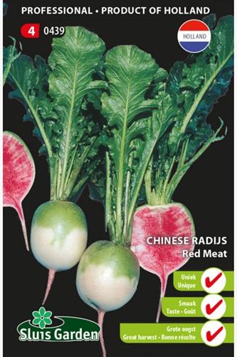 Radijs chinese Red Meat - Raphanus sativus