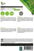 Sugar Leaf / Stevia - Buzzy-2