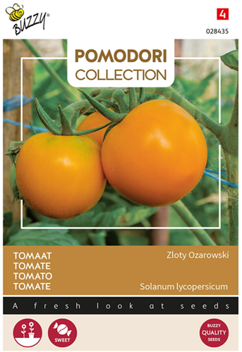 Tomato Arancia Zloty Ozarowski - Pomodori Collection