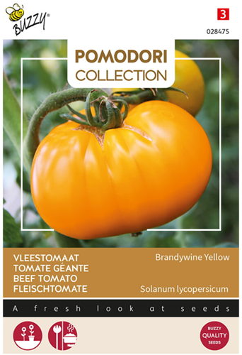 Beef Tomato Grappa Gialla, Brandywine Yellow - Pomodori Collection