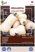 Wintersquash Waltham Butternut - Ornamental Collection