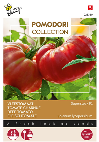 Tomato Bistecca Supersteak F1 Hybrid - Pomodori Collection