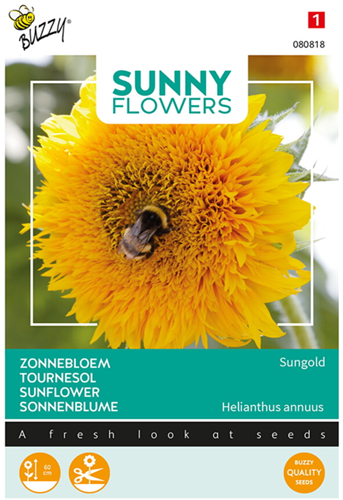 Dwarf Sunflower Sungold, double - Sunny Flowers