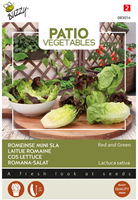 Cos Lettuce Red and Green - Buzzy Patio Vegetables