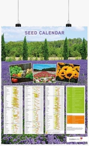Seed Calendar Poster English - Folded