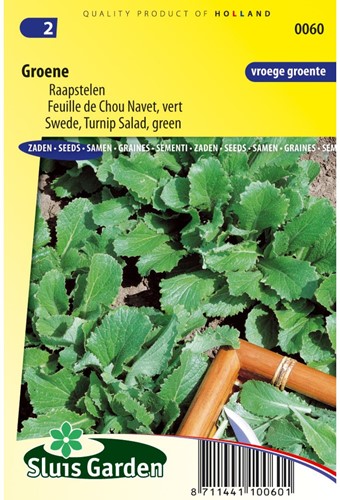 Turnip Salad, Swede Green-2