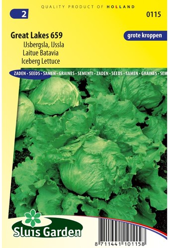 Lettuce iceberg Great Lakes 659-2