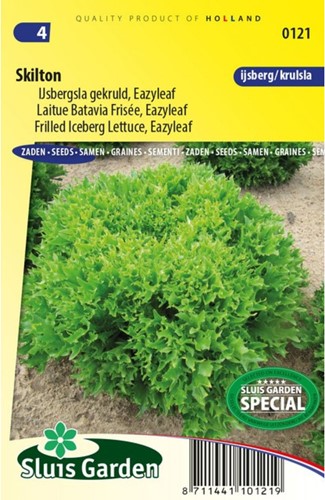 Lettuce iceberg frilled Skilton (eazyleaf)-2