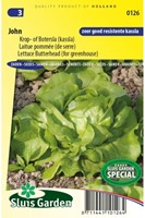 Lettuce Butterhead John-2