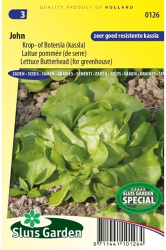 Lettuce Butterhead John-2