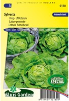 Lettuce Butterhead Sylvesta-2