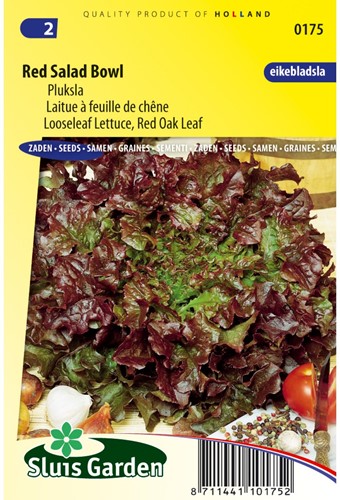 Lettuce Looseleaf Red Salad Bowl (Red Oak Leaf)-2