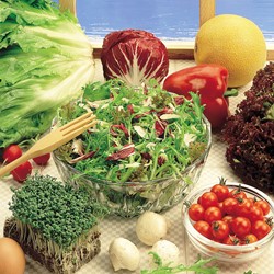 Lettuce Gastronome mix