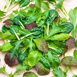Lettuce Asian Salad Mix