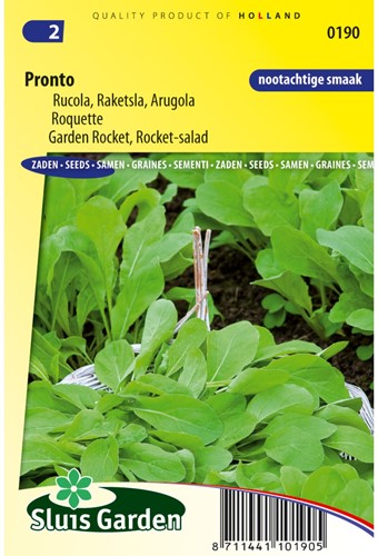 Rocket-salad, Garden Rocket Pronto-2