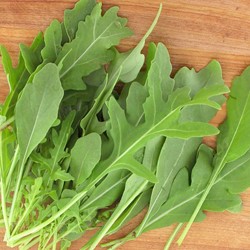 Rucola wild, Rocky Wild EKO