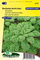Curly Kale Late Autumn (Westlandse Herfst late)-2
