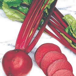 Beetroot, Red Gardenbeet Detroit dark red 2 Storuman EKO