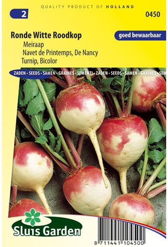 Turnip Bicolor, De Nancy-2