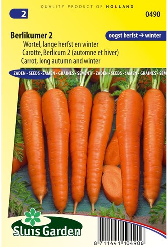Wortel Berlikumer 2-2