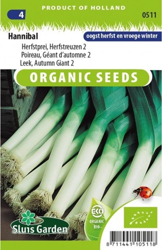 Leek Hannibal, Autumn Giant 2 EKO-2
