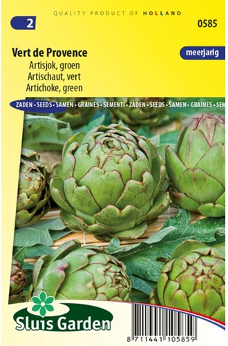 Artichoke green Vert de Provence-2