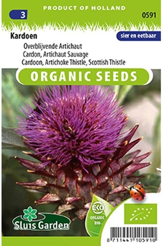 Kardoen EKO - Cynara Cardunculus-2