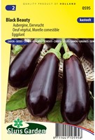 Eggplant Black Beauty-2
