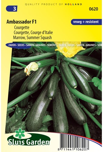 Courgette Ambassador F1-2