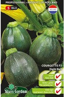 Marrow, Summer Squash Eight Ball F1-2