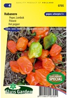 Pepper Habanero - Capsicum sinense-2