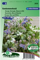 Borage Blue and White (Borago officinalis)-2