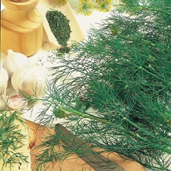 Dill Bouquet