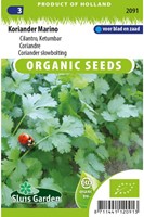 Coriander slowbolting (Coriandrum sativum) EKO-2