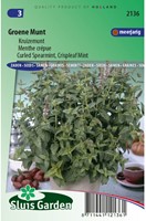 Spearmint curled, Crispleaf Mint (Mentha spicata crispa)-2