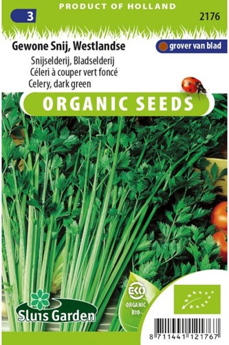 Celery, dark green, Westlandse EKO-2