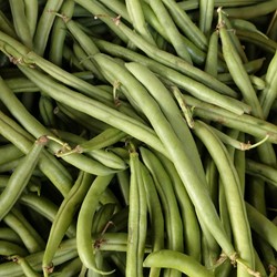 Dwarf French Bean Record