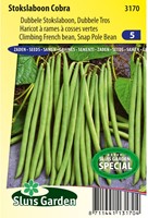 Climbing French Bean Cobra (improved Westlandse)-2