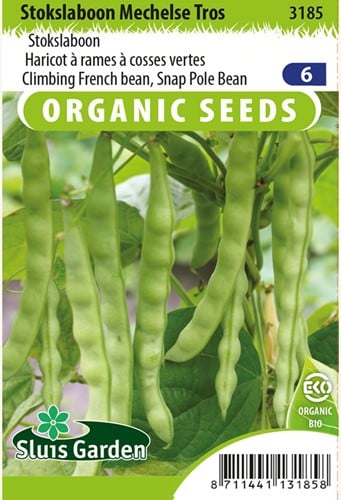 Climbing French bean Mechelse Tros BIO - Phaseolus vulgaris