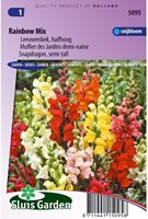 Leeuwenbek Rainbow mix, halfhoog-2