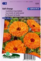 Goudsbloem Ball's Orange - Calendula-2