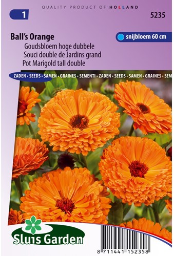 Goudsbloem Ball's Orange - Calendula-2