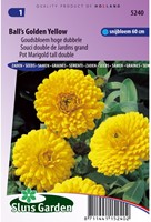 Goudsbloem Ball's Golden Yellow - Calendula-2